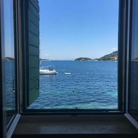Tomislava Vis